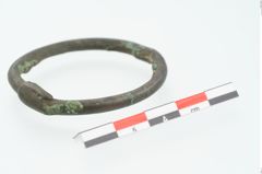 Foto von Bronzering (NHMW-PRAE-026636)